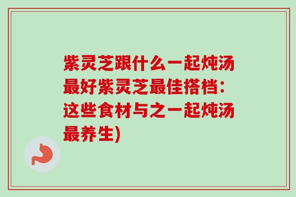 紫灵芝跟什么一起炖汤最好紫灵芝最佳搭档:这些食材与之一起炖汤最养生)-第1张图片-卓越灵芝孢子粉 紫灵芝跟什么一起炖汤最好紫灵芝最佳搭档:这些食材与之一起炖汤最养生)-第1张图片-卓越灵芝孢子粉