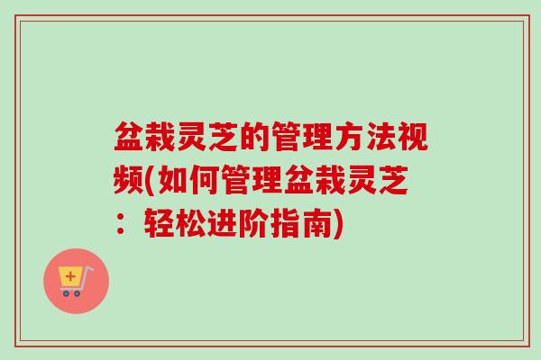 盆栽灵芝的管理方法视频(如何管理盆栽灵芝:轻松进阶指南)-第1张图片-卓越灵芝孢子粉 盆栽灵芝的管理方法视频(如何管理盆栽灵芝:轻松进阶指南)-第1张图片-卓越灵芝孢子粉