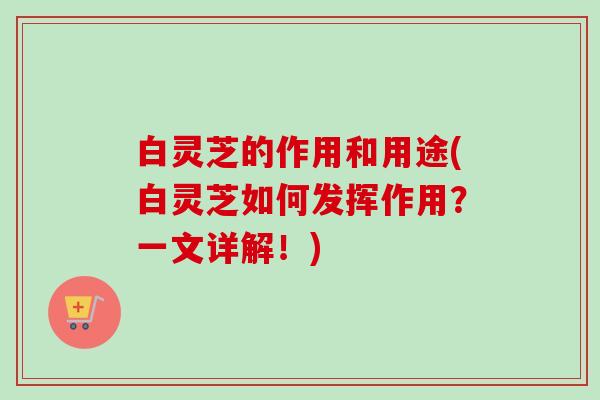 白灵芝的作用和用途(白灵芝如何发挥作用?一文详解!)-第1张图片-卓越灵芝孢子粉 白灵芝的作用和用途(白灵芝如何发挥作用?一文详解!)-第1张图片-卓越灵芝孢子粉