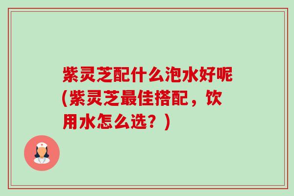 紫灵芝配什么泡水好呢(紫灵芝最佳搭配，饮用水怎么选？)-第1张图片-卓越灵芝孢子粉