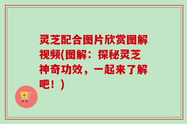 灵芝配合图片欣赏图解视频(图解：探秘灵芝神奇功效，一起来了解吧！)-第1张图片-卓越灵芝孢子粉