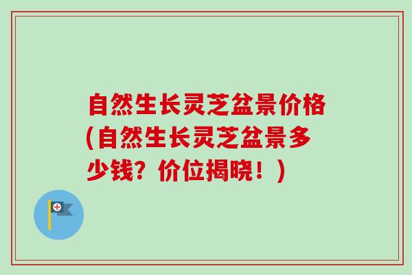 自然生长灵芝盆景价格(自然生长灵芝盆景多少钱?价位揭晓!)-第1张图片-卓越灵芝孢子粉 自然生长灵芝盆景价格(自然生长灵芝盆景多少钱?价位揭晓!)-第1张图片-卓越灵芝孢子粉