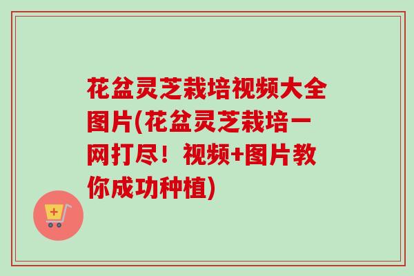 花盆灵芝栽培视频大全图片(花盆灵芝栽培一网打尽！视频+图片教你成功种植)-第1张图片-卓越灵芝孢子粉