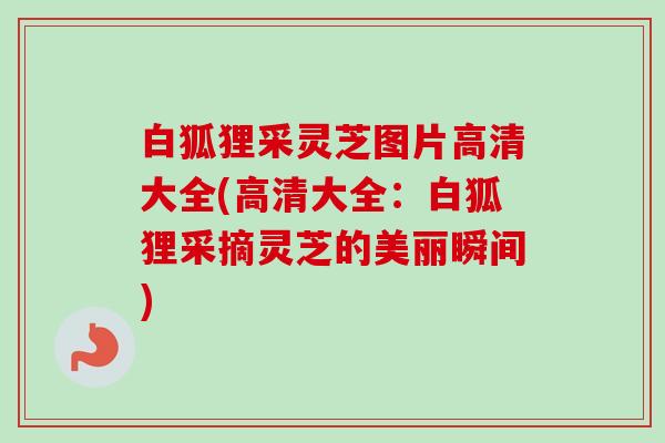 白狐狸采灵芝图片高清大全(高清大全:白狐狸采摘灵芝的美丽瞬间)-第1张图片-卓越灵芝孢子粉 白狐狸采灵芝图片高清大全(高清大全:白狐狸采摘灵芝的美丽瞬间)-第1张图片-卓越灵芝孢子粉