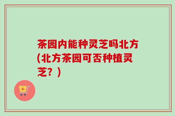 茶园内能种灵芝吗北方(北方茶园可否种植灵芝?)-第1张图片-卓越灵芝孢子粉 茶园内能种灵芝吗北方(北方茶园可否种植灵芝?)-第1张图片-卓越灵芝孢子粉