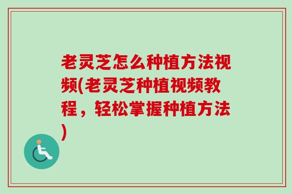 老灵芝怎么种植方法视频(老灵芝种植视频教程,轻松掌握种植方法)-第1张图片-卓越灵芝孢子粉 老灵芝怎么种植方法视频(老灵芝种植视频教程,轻松掌握种植方法)-第1张图片-卓越灵芝孢子粉