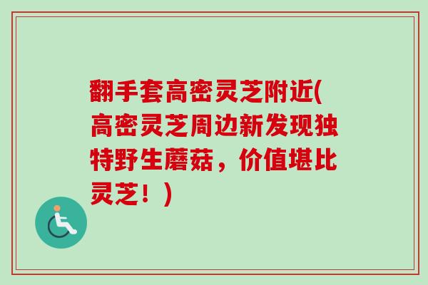 翻手套高密灵芝附近(高密灵芝周边新发现独特野生蘑菇，价值堪比灵芝！)-第1张图片-卓越灵芝孢子粉