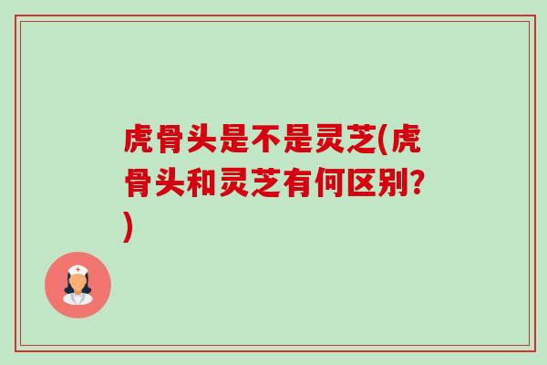虎骨头是不是灵芝(虎骨头和灵芝有何区别?)-第1张图片-卓越灵芝孢子粉 虎骨头是不是灵芝(虎骨头和灵芝有何区别?)-第1张图片-卓越灵芝孢子粉