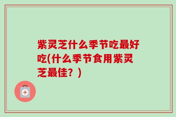 紫灵芝什么季节吃最好吃(什么季节食用紫灵芝最佳？)-第1张图片-卓越灵芝孢子粉