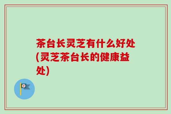 茶台长灵芝有什么好处(灵芝茶台长的健康益处)-第1张图片-卓越灵芝孢子粉 茶台长灵芝有什么好处(灵芝茶台长的健康益处)-第1张图片-卓越灵芝孢子粉