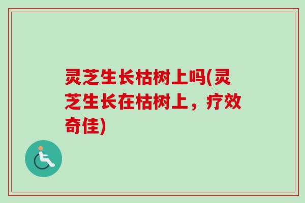 灵芝生长枯树上吗(灵芝生长在枯树上，疗效奇佳)-第1张图片-卓越灵芝孢子粉