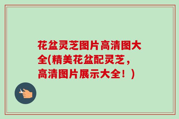 花盆灵芝图片高清图大全(精美花盆配灵芝，高清图片展示大全！)-第1张图片-卓越灵芝孢子粉