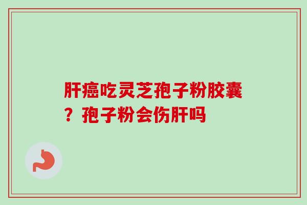 肝癌吃灵芝孢子粉胶囊?孢子粉会伤肝吗-第1张图片-卓越灵芝孢子粉 肝癌吃灵芝孢子粉胶囊?孢子粉会伤肝吗-第1张图片-卓越灵芝孢子粉