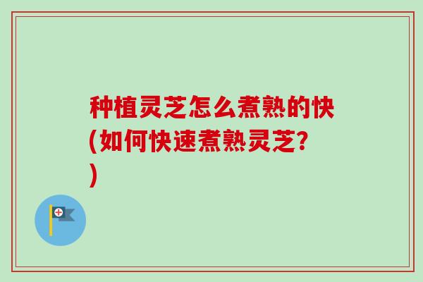 种植灵芝怎么煮熟的快(如何快速煮熟灵芝?)-第1张图片-卓越灵芝孢子粉 种植灵芝怎么煮熟的快(如何快速煮熟灵芝?)-第1张图片-卓越灵芝孢子粉