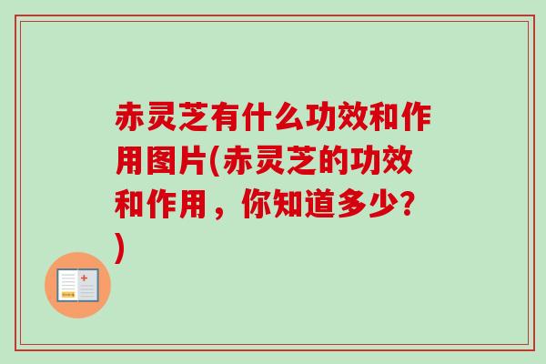 赤灵芝有什么功效和作用图片(赤灵芝的功效和作用，你知道多少？)-第1张图片-卓越灵芝孢子粉