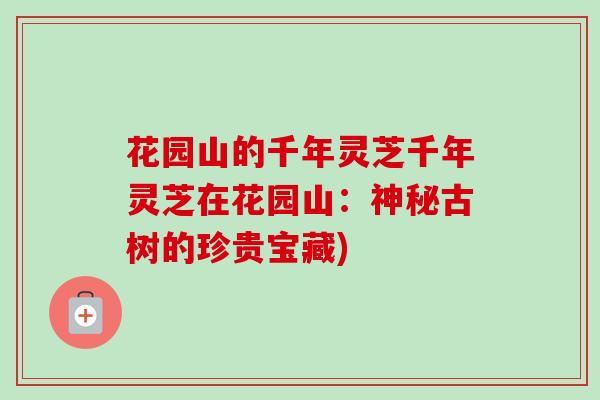 花园山的千年灵芝千年灵芝在花园山:神秘古树的珍贵宝藏)-第1张图片-卓越灵芝孢子粉 花园山的千年灵芝千年灵芝在花园山:神秘古树的珍贵宝藏)-第1张图片-卓越灵芝孢子粉