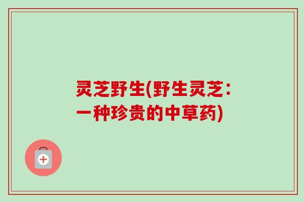 灵芝野生(野生灵芝:一种珍贵的中草药)-第1张图片-卓越灵芝孢子粉 灵芝野生(野生灵芝:一种珍贵的中草药)-第1张图片-卓越灵芝孢子粉