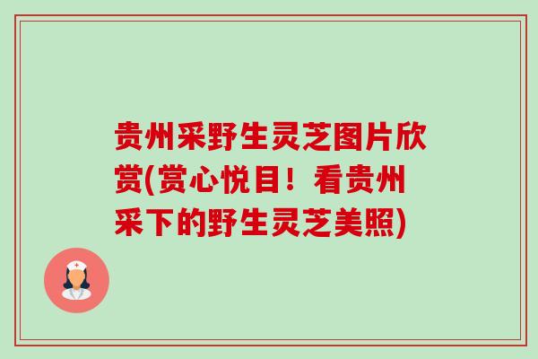 贵州采野生灵芝图片欣赏(赏心悦目!看贵州采下的野生灵芝美照)-第1张图片-卓越灵芝孢子粉 贵州采野生灵芝图片欣赏(赏心悦目!看贵州采下的野生灵芝美照)-第1张图片-卓越灵芝孢子粉