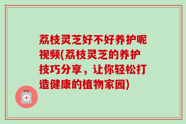 荔枝灵芝好不好养护呢视频(荔枝灵芝的养护技巧分享，让你轻松打造健康的植物家园)-第1张图片-卓越灵芝孢子粉