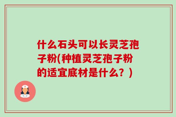 什么石头可以长灵芝孢子粉(种植灵芝孢子粉的适宜底材是什么?)-第1张图片-卓越灵芝孢子粉 什么石头可以长灵芝孢子粉(种植灵芝孢子粉的适宜底材是什么?)-第1张图片-卓越灵芝孢子粉