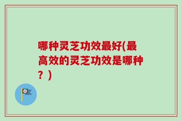 哪种灵芝功效最好(最高效的灵芝功效是哪种?)-第1张图片-卓越灵芝孢子粉 哪种灵芝功效最好(最高效的灵芝功效是哪种?)-第1张图片-卓越灵芝孢子粉