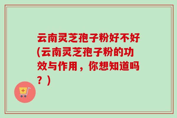 云南灵芝孢子粉好不好(云南灵芝孢子粉的功效与作用,你想知道吗?)-第1张图片-卓越灵芝孢子粉 云南灵芝孢子粉好不好(云南灵芝孢子粉的功效与作用,你想知道吗?)-第1张图片-卓越灵芝孢子粉