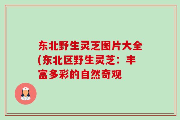 东北野生灵芝图片大全(东北区野生灵芝:丰富多彩的自然奇观-第1张图片-卓越灵芝孢子粉 东北野生灵芝图片大全(东北区野生灵芝:丰富多彩的自然奇观-第1张图片-卓越灵芝孢子粉