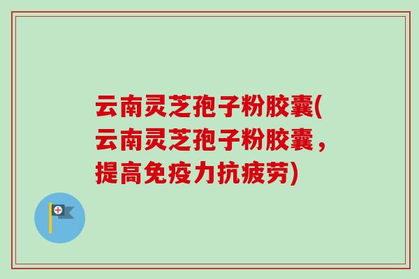 云南灵芝孢子粉胶囊(云南灵芝孢子粉胶囊,提高免疫力抗疲劳)-第1张图片-卓越灵芝孢子粉 云南灵芝孢子粉胶囊(云南灵芝孢子粉胶囊,提高免疫力抗疲劳)-第1张图片-卓越灵芝孢子粉
