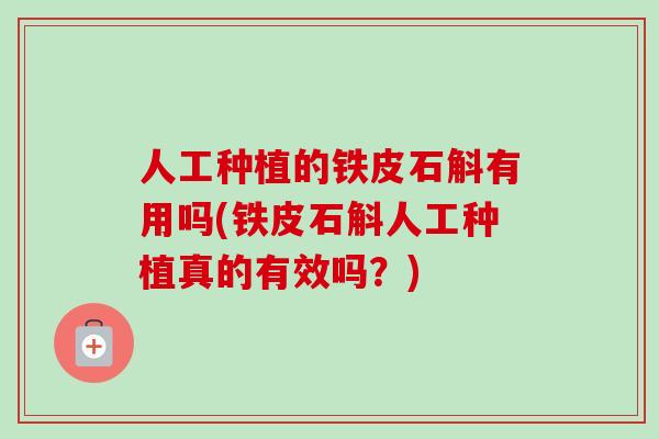 人工种植的铁皮石斛有用吗(铁皮石斛人工种植真的有效吗?)-第1张图片-卓越灵芝孢子粉 人工种植的铁皮石斛有用吗(铁皮石斛人工种植真的有效吗?)-第1张图片-卓越灵芝孢子粉