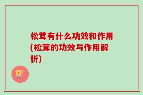 松茸有什么功效和作用(松茸的功效与作用解析)-第1张图片-卓越灵芝孢子粉