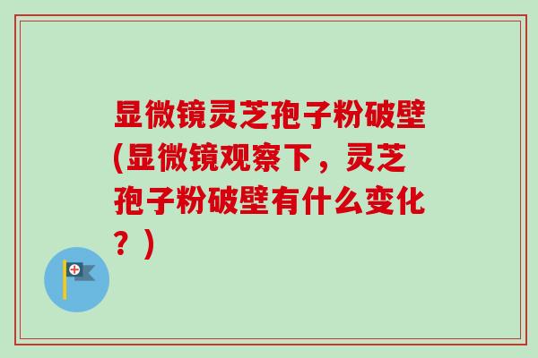 显微镜灵芝孢子粉破壁(显微镜观察下，灵芝孢子粉破壁有什么变化？)-第1张图片-卓越灵芝孢子粉