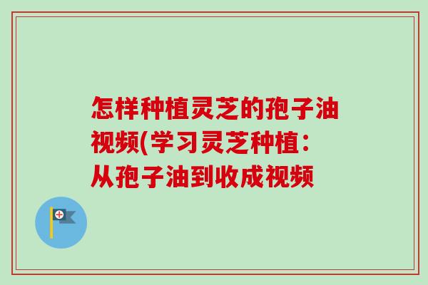 怎样种植灵芝的孢子油视频(学习灵芝种植：从孢子油到收成视频-第1张图片-卓越灵芝孢子粉