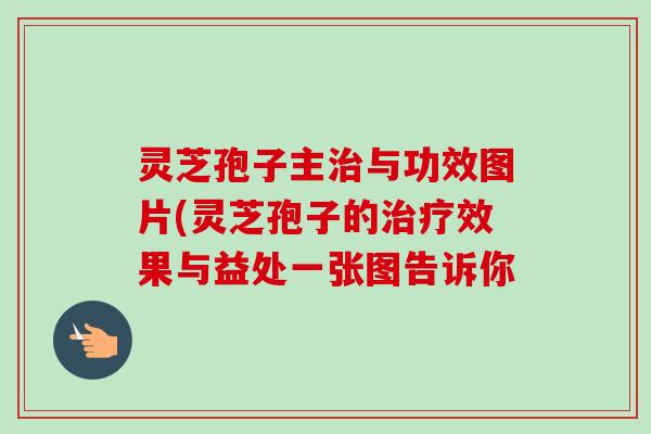 灵芝孢子主治与功效图片(灵芝孢子的治疗效果与益处一张图告诉你-第1张图片-卓越灵芝孢子粉 灵芝孢子主治与功效图片(灵芝孢子的治疗效果与益处一张图告诉你-第1张图片-卓越灵芝孢子粉