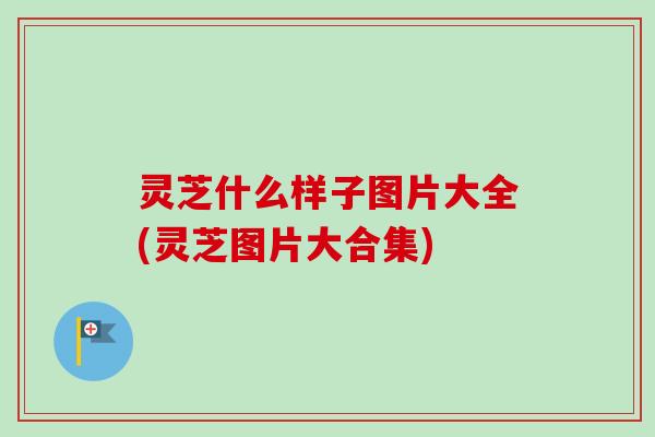灵芝什么样子图片大全(灵芝图片大合集)-第1张图片-卓越灵芝孢子粉 灵芝什么样子图片大全(灵芝图片大合集)-第1张图片-卓越灵芝孢子粉