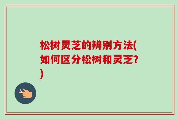 松树灵芝的辨别方法(如何区分松树和灵芝?)-第1张图片-卓越灵芝孢子粉 松树灵芝的辨别方法(如何区分松树和灵芝?)-第1张图片-卓越灵芝孢子粉