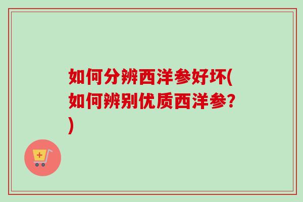 如何分辨西洋参好坏(如何辨别优质西洋参?)-第1张图片-卓越灵芝孢子粉 如何分辨西洋参好坏(如何辨别优质西洋参?)-第1张图片-卓越灵芝孢子粉