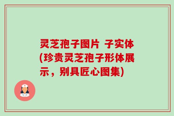 灵芝孢子图片 子实体(珍贵灵芝孢子形体展示，别具匠心图集)-第1张图片-卓越灵芝孢子粉