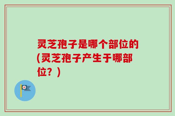 灵芝孢子是哪个部位的(灵芝孢子产生于哪部位?)-第1张图片-卓越灵芝孢子粉 灵芝孢子是哪个部位的(灵芝孢子产生于哪部位?)-第1张图片-卓越灵芝孢子粉
