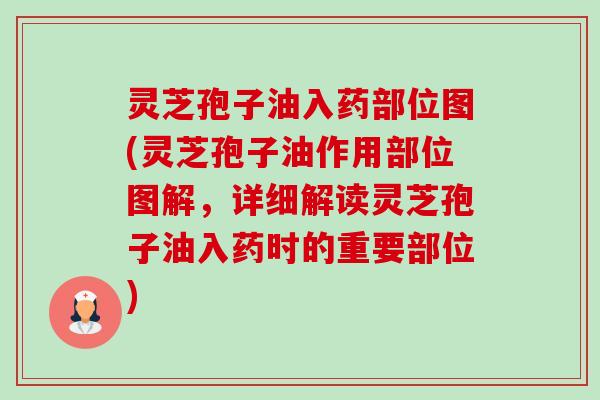 灵芝孢子油入药部位图(灵芝孢子油作用部位图解,详细解读灵芝孢子油入药时的重要部位)-第1张图片-卓越灵芝孢子粉 灵芝孢子油入药部位图(灵芝孢子油作用部位图解,详细解读灵芝孢子油入药时的重要部位)-第1张图片-卓越灵芝孢子粉
