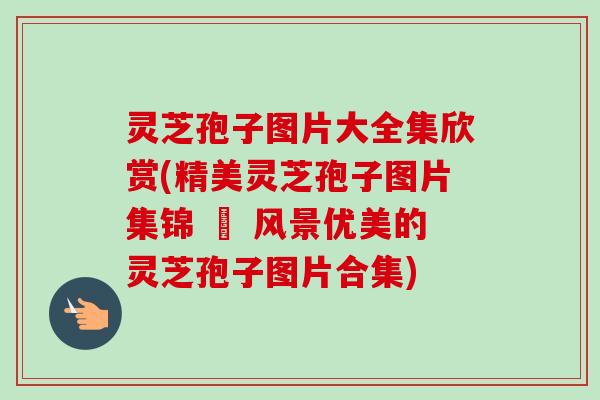 灵芝孢子图片大全集欣赏(精美灵芝孢子图片集锦 – 风景优美的灵芝孢子图片合集)-第1张图片-卓越灵芝孢子粉 灵芝孢子图片大全集欣赏(精美灵芝孢子图片集锦 – 风景优美的灵芝孢子图片合集)-第1张图片-卓越灵芝孢子粉