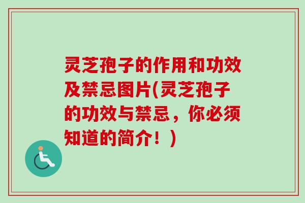 灵芝孢子的作用和功效及禁忌图片(灵芝孢子的功效与禁忌，你必须知道的简介！)-第1张图片-卓越灵芝孢子粉