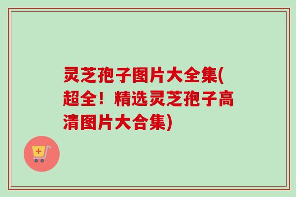 灵芝孢子图片大全集(超全!精选灵芝孢子高清图片大合集)-第1张图片-卓越灵芝孢子粉 灵芝孢子图片大全集(超全!精选灵芝孢子高清图片大合集)-第1张图片-卓越灵芝孢子粉