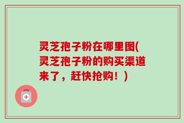 灵芝孢子粉在哪里图(灵芝孢子粉的购买渠道来了，赶快抢购！)-第1张图片-卓越灵芝孢子粉