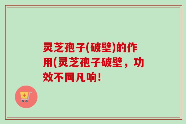 灵芝孢子(破壁)的作用(灵芝孢子破壁,功效不同凡响!-第1张图片-卓越灵芝孢子粉 灵芝孢子(破壁)的作用(灵芝孢子破壁,功效不同凡响!-第1张图片-卓越灵芝孢子粉