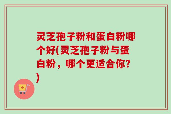 灵芝孢子粉和蛋白粉哪个好(灵芝孢子粉与蛋白粉,哪个更适合你?)-第1张图片-卓越灵芝孢子粉 灵芝孢子粉和蛋白粉哪个好(灵芝孢子粉与蛋白粉,哪个更适合你?)-第1张图片-卓越灵芝孢子粉