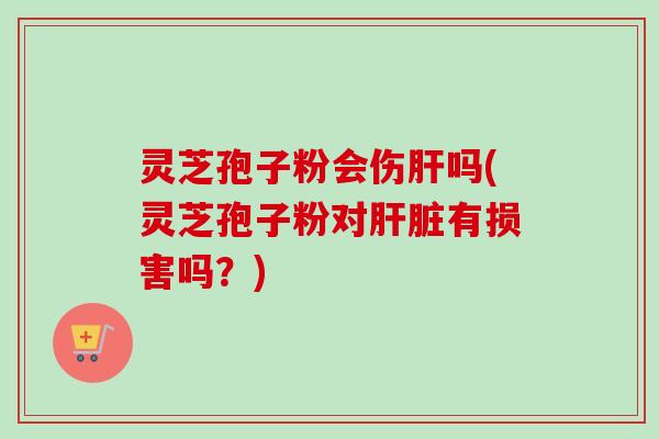 灵芝孢子粉会伤肝吗(灵芝孢子粉对肝脏有损害吗?)-第1张图片-卓越灵芝孢子粉 灵芝孢子粉会伤肝吗(灵芝孢子粉对肝脏有损害吗?)-第1张图片-卓越灵芝孢子粉