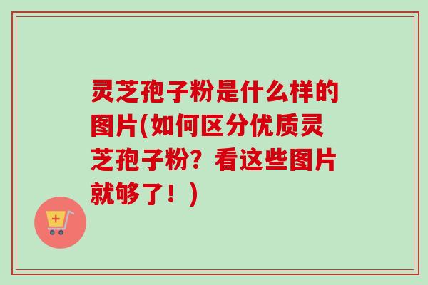 灵芝孢子粉是什么样的图片(如何区分优质灵芝孢子粉？看这些图片就够了！)-第1张图片-卓越灵芝孢子粉