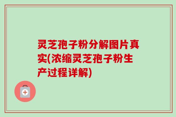 灵芝孢子粉分解图片真实(浓缩灵芝孢子粉生产过程详解)-第1张图片-卓越灵芝孢子粉