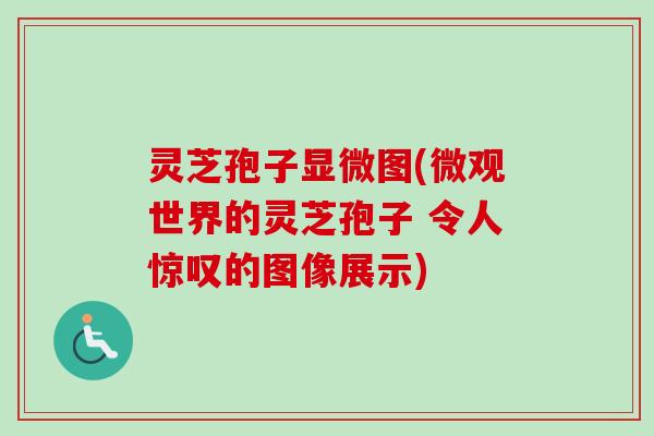 灵芝孢子显微图(微观世界的灵芝孢子 令人惊叹的图像展示)-第1张图片-卓越灵芝孢子粉