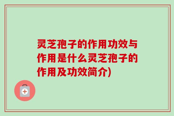 灵芝孢子的作用功效与作用是什么灵芝孢子的作用及功效简介)-第1张图片-卓越灵芝孢子粉 灵芝孢子的作用功效与作用是什么灵芝孢子的作用及功效简介)-第1张图片-卓越灵芝孢子粉